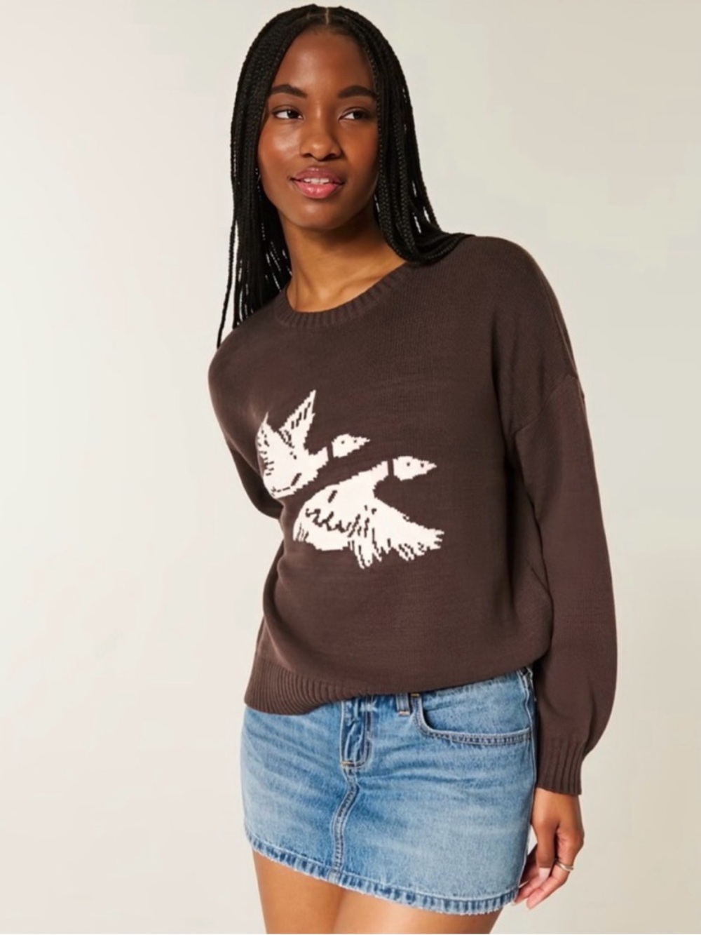 Hollister Brown Crewneck Sweater with White/Pink Duck Motif - Picture 3 of 5